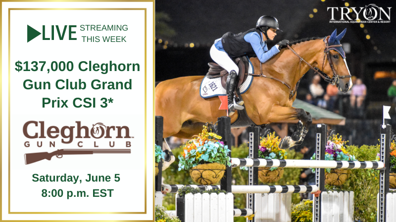 csi calendar spring 2023 Csi Spring 2022 Calendar Calendar 2022